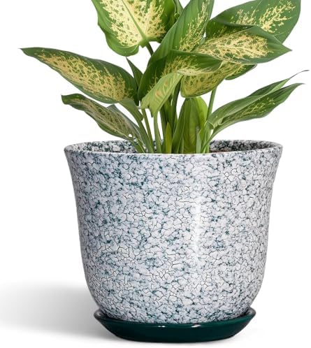 5.6 Inch Plant Pot - Ceramic Plant Pots for Indoor Outdoor, Round Orchid Succulent Pots with Drainage Hole and Saucer, Modern Flower Pot, Home Office Decor, Green-White by SUNPOTFOR