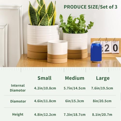 HASENSE Planters for Indoor Plants, 8+6+4.6 Inch Ceramic Plant Pots Indoors with Drainage Hole and Tray, Dual Contrast Glaze Flower Planters for Herb Snake Succulent, Set of 3, White - Image 3