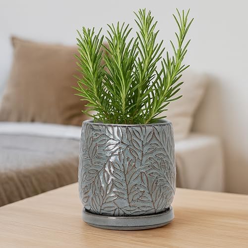 D'vine Dev Embossed Leaves Ceramic Planter, 6 in, Graphite Blue, 27-A-X-9 - Image 4