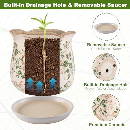 Ceramic-Planters-for-Indoor-Plants with Saucer, 6 inch Vintage Ice Crackle Glaze Plant Pots with Drainage Holes, Decorative Flower Pots for Outdoor Garden Home Decor, Tuscan Pot for Plant - Image 4