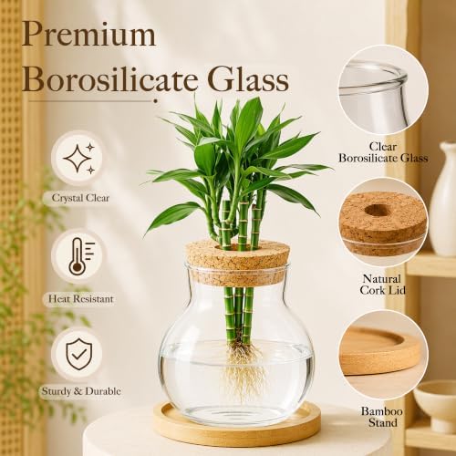 6 Pcs Plant Propagation Station Set, Glass Propagation Vases for Plants with Wooden Lids & Bamboo Stands, Hydroponic Vase Jars for Plant Cuttings, Terrarium Planters for Desk, Home Office Decor - Image 3