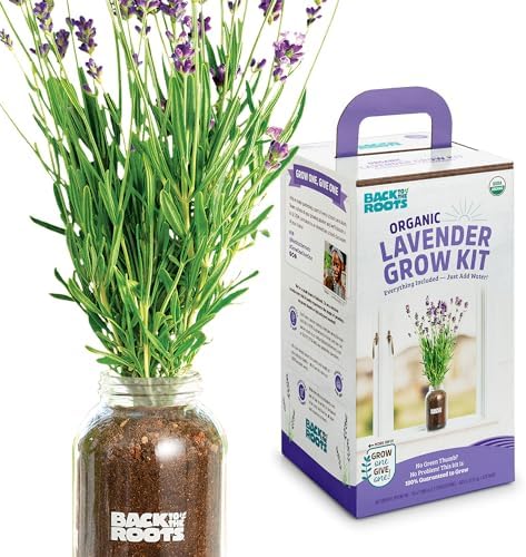 Back to the Roots Windowsill Planter: Lavender by BacktotheRoots