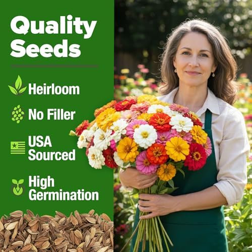 HOME GROWN Zinnia Seeds, Pumila Mix, 17,000 Seeds, Zinnia elegans - Image 2