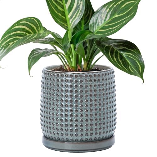 D'vine Dev Beaded Ceramic Pot with Saucer, 6 in, Graphite Blue, 27-C-X-9 by DvineDevPlanterPotsandStand