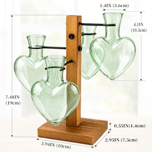 Plant Terrarium Propagation Station with 4 Heart Glass Vases - Green - Image 2