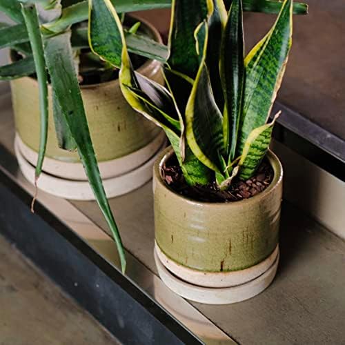 HERDUK 6 + 8 Inch Plant Pots, Ceramic Planter Pot with Drainage Hole & Saucer, Indoor/Outdoor Cylinder Round Planter Pot, Green - Image 5