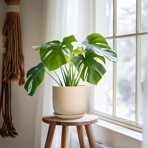 Ceramic Plant Pot - 7 Inch Mid Century Round Ceramic Planter for Indoor Plants with Drainage Hole and Saucer, Modern Home Decor, Yellow - Image 6