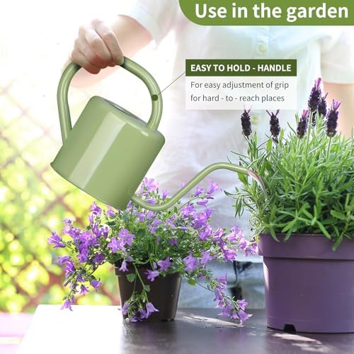 Watering Can, Stainless Steel Watering Can for Indoor & Outdoor Plants, 1L/35oz Long Spout Water Can with Handle, Rust-Proof Plant Watering Pot for House Plants, Garden Flowers - Image 5
