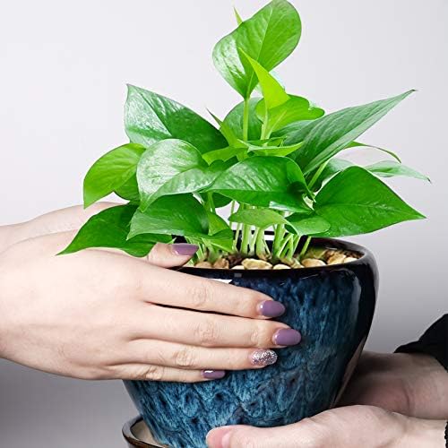 Ceramic Modern Glaze Succulent Planter Pot with Drainage Hole and Saucer 6 Inch Round Flower Plant Pot for Indoor Outdoor Herb Snake Plants - Image 6