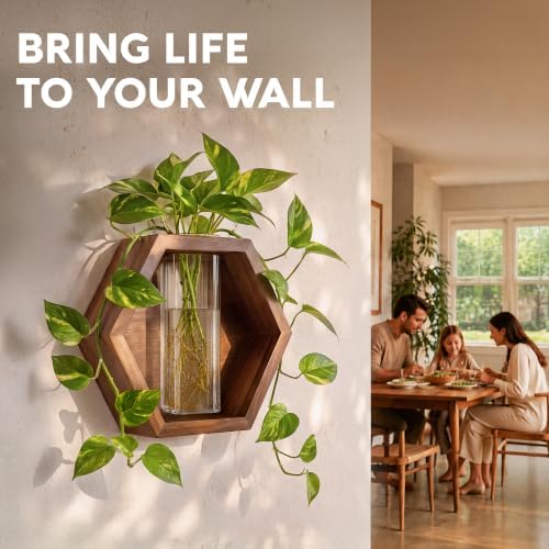 AVERGO Wall Plant Decor (1-Pack), Acacia Wood Indoor Wall Planter - Image 4