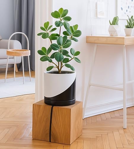D'vine Dev 8.2 Inch Ceramic Planter Pot, Black White Diagonal, 94-O-D-K - Image 6