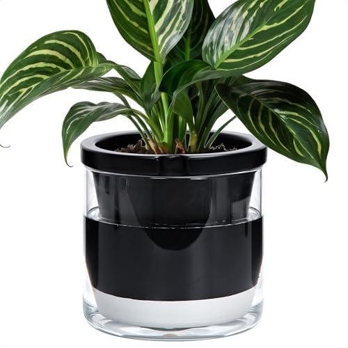 D'vine Dev Self-Watering Black Terracotta Planter Pot, 8 in, 37-X-C-3 by DvineDevPlanterPotsandStand