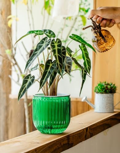 Melphoe Self Watering Pots for Indoor Plants Planter, 6.5/5.3 Inch 2 Pack Planters Self Watering Plant Pots for Flower, Houseplants, Succulent, African Violets and Cactus with Drainage - Image 5