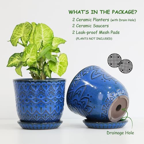 Gepege Ceramic Plant Pots, 6 Inch Indoor Planters with Drainage & Saucers - Image 3