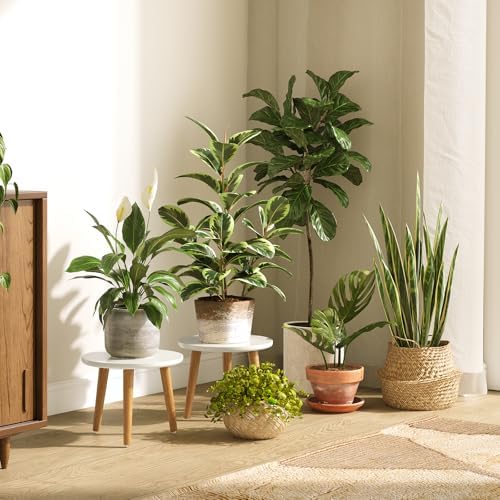 Uneedem Indoor Plant Stand, Wood Mid Century Modern Small Round Side Plant Table for Indoor Plants, 8.9" Tall Plant Holder for Flower Pots End Table - Image 2