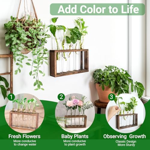 Propagation Station, Plants Terrarium, Plants Lover Gifts for Women,Plant Cutting Holder Home décor,Gifts for Women,House Warming New Home-5 Tubes-Brown - Image 2