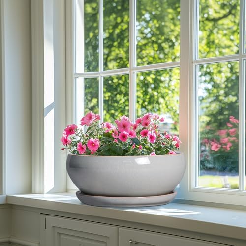 SQOWL 12 Inch Bonsai Pots, Large Ceramic Succulent Pots with Saucer, Gray - Image 6