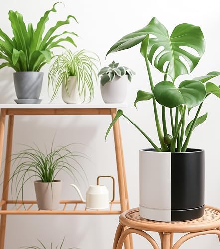 D'vine Dev 10 Inch Ceramic Planter Pot, Black White Split, 94-O-E-0 - Image 2