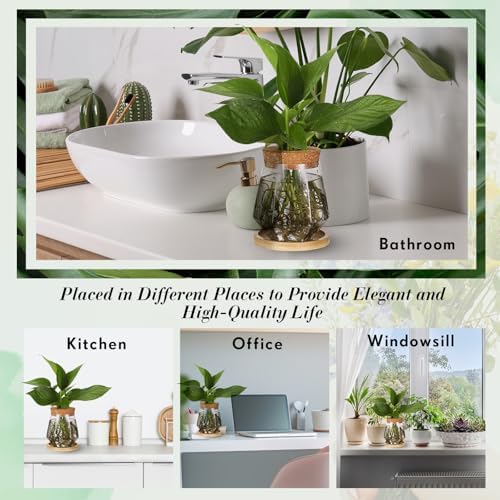 Baderke 12 Pack Propagation Vases for Plants, Cup Style - Image 6