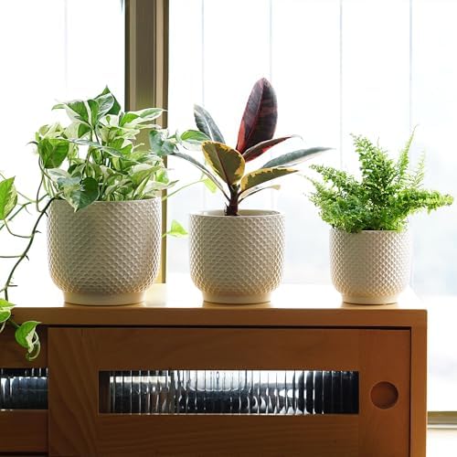 4 + 5 + 6 Inch Ceramic Pots for Indoor Plants, Succulents Plant Pots, Orchid Flower Pot with Drainage Hole, Modern Clay Stoneware Planters, Set of 3 (White, 4+5+6 Inch) - Image 6