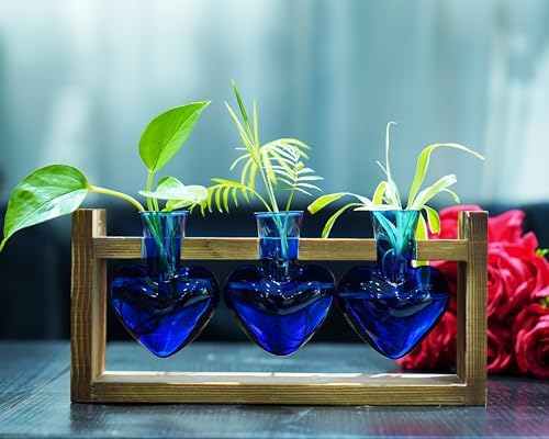 Kingbuy 3-Heart Plant Terrarium Kit with Vintage Wood Stand - Stained Glass Vase Propagation Station, Wall-Mounted & Tabletop Indoor Decor for Home Kitchen Wedding Gift, Blue - Image 7