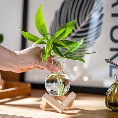 Propagation Stations, Propagation vases with Wooden Stand, Small Tabletop Glass Bulb Vases for Hydroponics Plant Propagation Station Home Office Decoration, Gift for Women Plant Lovers (9) - Image 6