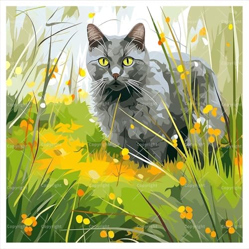 TAOPAOLAB Gray Cat Digital Painting Kit for Adults - DIY Garden Feline Oil Painting on Canvas 7.87x7.87In, Framed Acrylic Paint Kit, Good for Beginners, Pet Lover Home Decor or Gift Artwork by Unknown