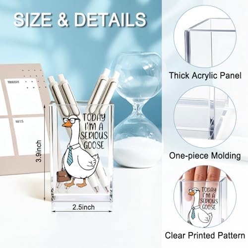 Today I'm A Serious Goose Acrylic Cosmetic Pencil Holder Cup, Funny Silly Goose Pen Holder Gifts For Women Men Friends HR Boss, Office Sarcastic Humor Gifts for Coworkers, Goose Lover Present - Image 2