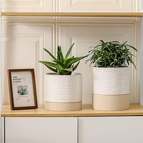 Nihow Ceramic Plant Pot,6 Inch Planter with Drainage Hole&Saucer for Indoor - Image 5