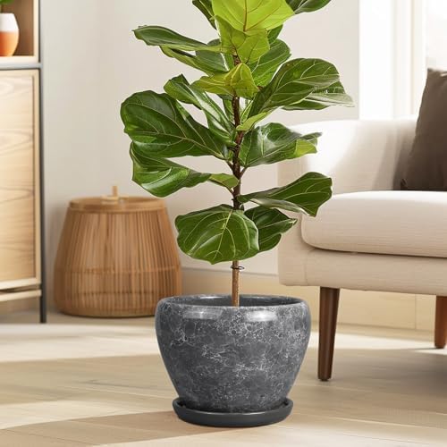 Ceramicfor 8 Inch Plant Pot - Ceramic Planter Pot with Drainage Hole and Saucer, Glaze Garden Pot Modern Flower Pot for Indoor Plants, Gray - Image 2
