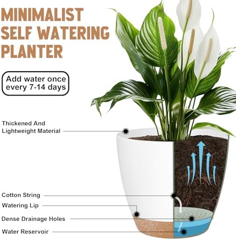 QRRICA Plant Pots 8/7/6.5/6/5.5/5 Inch Self Watering Pots, Set of 6 Plastic Planters with Drainage Holes and Saucers,Plastic Flower Pots,Nursery Planting Pot for Indoor Out Door Plants（White） - Image 4