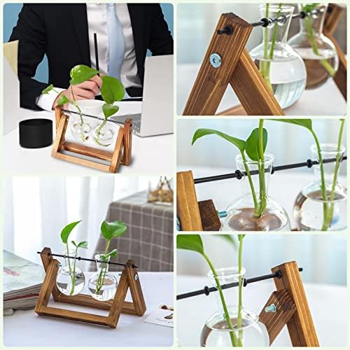 Kingbuy Glass Desktop Planter with Retro Wooden Stand, 2 Bulbs - Image 4