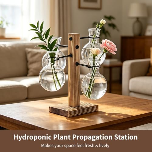 Hydroponic Plant Propagation Station, 4 Clear Round Glass Vases with Solid Wood Base, Mini Landscape Decor Set for Desktop Ornament, Home Garden Display, Ideal Choice for Plant Lovers - Image 2