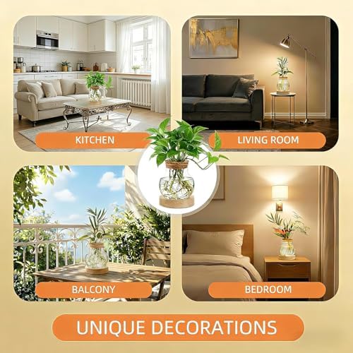 Plant Propagation Station with Light,Everkeen Glass Terrarium with Stepless Dimming Function Hydroponic Glass Container Vase Jars Gardening Gifts for Mom Women Plant Lovers 4 Pack - Image 6