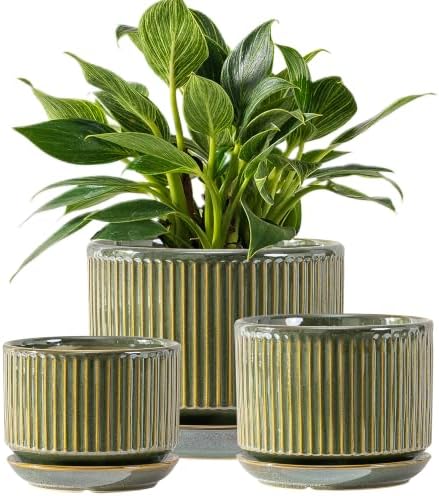 SURE YUESI Ceramic Plant Flower Pots for Indoor Plant, 4.33"+5.5"+6.88", Set of 3, Orchid Pot with Drainage Hole, Saucer and Hole Mesh Pad for Succulents, Herbs and African Violet (Light Green) by SUREYUESI