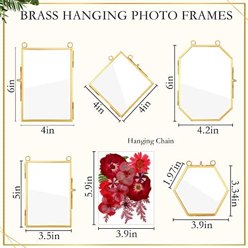Bucherry 5 Pcs Glass Frame for DIY Pressed Flowers Art Brass Hanging Photo Picture Frame with Chain and 6 Styles Pressed Flowers Collage Glass Craft Frames for Wall Decor Display Gallery (Gold) - Image 2