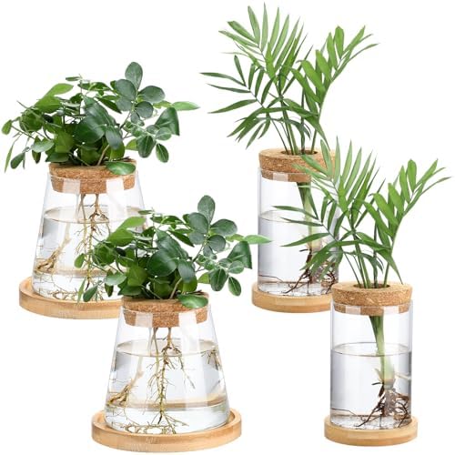 Layhit 4 Pcs Plants Propagation Stations vases Glass Planters with Wooden Lid and Bamboo Stand for Hydroponic Plants Gardening Gifts for Women Mom Home Office Tabletop Decoration(Stylish Style) by ShungLan