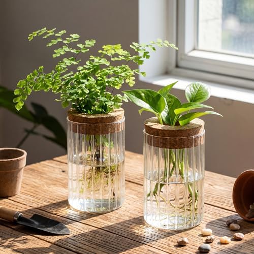6 Set Propagation Station Jar Desktop Glass Planter Station Flower Vases Water Terrarium Jar with Cork Lid for Propagating Flower Plants Centerpiece Office Home Garden Decor (Small) - Image 5