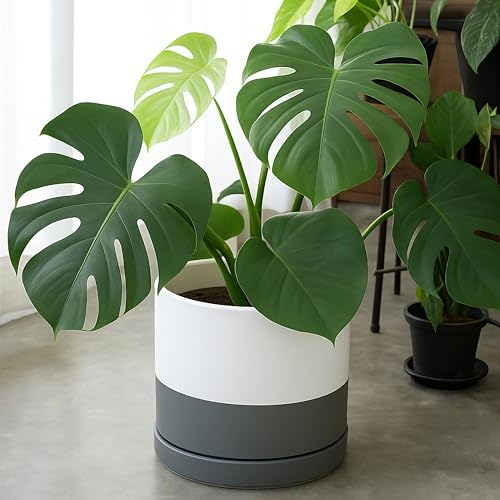 D'vine Dev 12 Inch Ceramic Planter Pot, White/Grey, 94-O-F-6 - Image 2
