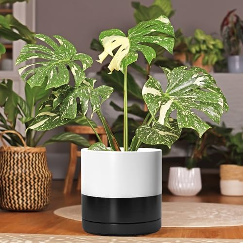 D'vine Dev 10 Inch Ceramic Planter Pot, Black White Two Tone, 94-O-E-L - Image 3