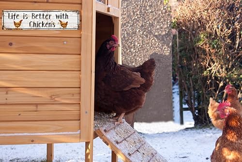 AWISZZZ Metal Tin Signs Life is Better with Chickens Signs Farm Chickens Door Accessories Wall Decor Vintage Retro Art Plaque for Bedroom Kitchen Garden Pub Club Coffee Hanging Decor 4x16 In - Image 4