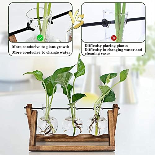 Kingbuy Desktop Glass Planter Iron and Wooden Stand Plant Terrariums for Indoor Office Desk Decor Accessories, 3 Bulb Vases, Brown - Image 6