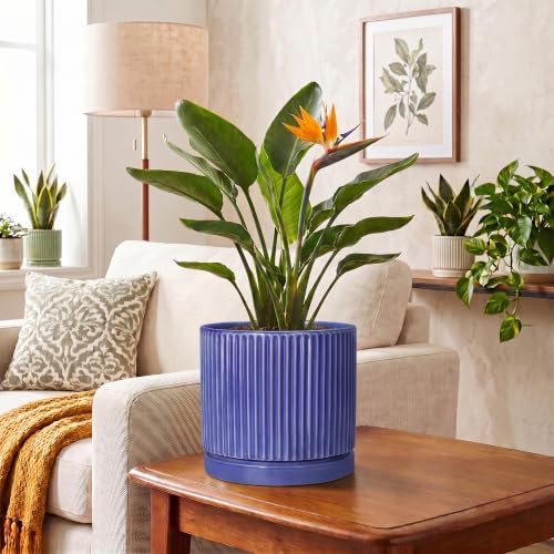 Ceramic Flower Pots, 8 Inch Plant Pot, Round Pots for Plants, Blue - Image 6