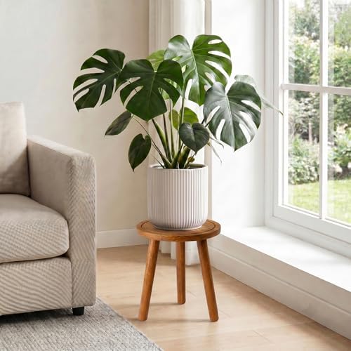 Wood Plant Stands Indoor, Teak Plant Stand Modern Plant Table for Large Plants, Wooden Plant Stool, Tall Plant Holder Small Round Side for Living Room, Balcony, Office (1 Pack) - Image 2