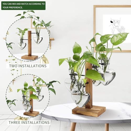 Plant Terrarium Propagation Stations with Wooden Stand - Image 5