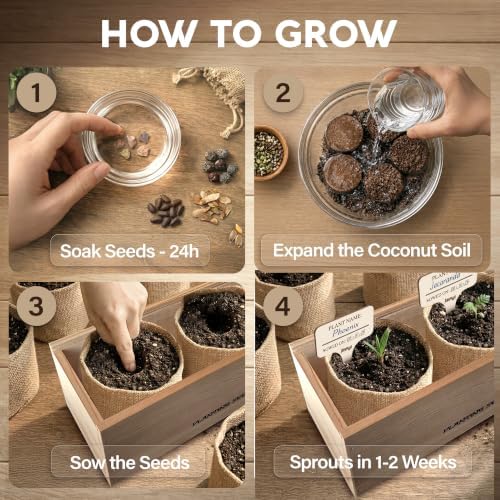 Bonsai Tree Kit Classic - Growing 5 Unique Japanese Bonzai Trees - Image 4