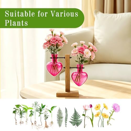 XXXFLOWER Plant Propagation Station Terrarium 2 Pink Heart Shaped Vase - Image 5