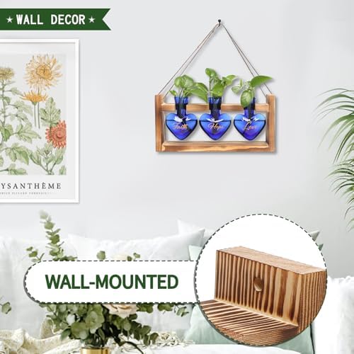 Plant Terrarium Propagation Stations Hydroponics - Image 3