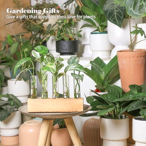 Plant Propagation Station, Plants Propagation Tubes - Image 2