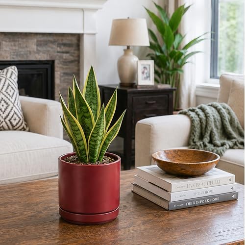 D'vine Dev 6.5 Inch Ceramic Planter Pot, Cordovan, 94-O-C-4 - Image 5